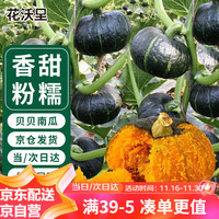 花沃里 贝贝南瓜种子10粒/包 蔬菜种子盆栽阳台种菜土菜籽阳台/庭院种植