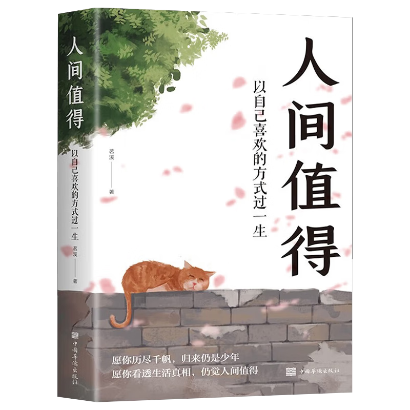 人间值得 以自己喜欢的方式过一生 高情商哲学与人生的智慧 热爱生活情绪管理正能量治愈心灵鸡汤