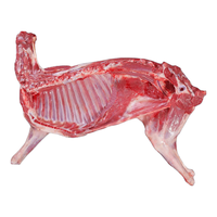 蒙羊煌(MENGYANGHUANG)内蒙古羔羊肉 生鲜全整羊半只羊蝎子腿羊排年货礼盒烧烤火锅食材 全羊32斤礼盒装【整只未切割】