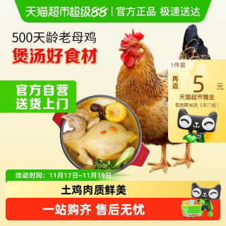 今日必买：温氏 供港老母鸡 1.2kg