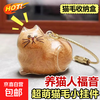 京喜 新款 可爱猫咪透明毛发纪念收纳盒挂件装饰防尘盒收集玩具 小胖猫透明收纳盒