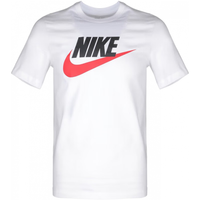 耐克(NIKE)女装短袖男装 夏季运动服跑步透气休闲宽松上衣女T恤休闲短袖 大勾/全棉材质/短款/晒图-5 L/175/92A 小勾/全棉材质/偏大/晒图-5