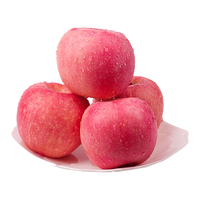 HOMES 红富士 落雪苹果 75-80mm 2.5kg