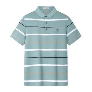 爱登堡夏季桑蚕丝POLO男士商务休闲条纹百搭短袖T恤衫 灰绿色 190