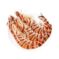 马可夫 冷冻斑节虾 大虾 竹节虾 九节虾 明虾 火锅食材 海鲜水产 盒装 400g 3-4条/盒 1盒