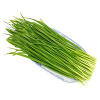 GREENSEER 绿鲜知 韭菜 500g