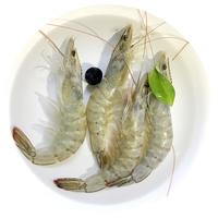 鲜多邦 白虾 500g