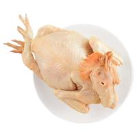 WENS 温氏 三黄鸡 一只 800g