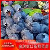 玖玖农场 云南蓝莓 18mm 2盒