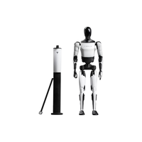 特斯拉 Bot 摆件人形玩偶机器人模型