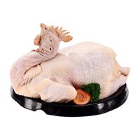 萨索 高山老母鸡1.2kg新鲜冷冻秦岭林地慢养450天土鸡老母鸡