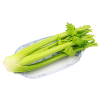 GREENSEER 绿鲜知 西芹 1kg
