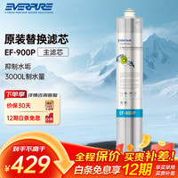 EVERPURE 爱惠浦 EF-900P 净水器滤芯