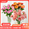 京东鲜花 严选 昆明基地鲜花 30枝 随机色玫瑰20枝+随机康乃馨10枝