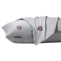 TEENIE WEENIE小熊a类100支长绒棉贡缎枕头套48x74cm一对家用刺绣枕芯套