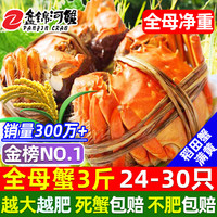 盘锦河蟹 PANJINCRAB 网兜蟹特大辽宁盘锦河蟹稻田河蟹礼盒鲜活中秋大闸蟹 全母蟹 1.2-1.4两21-24只