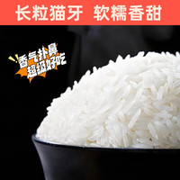 金饭碗 软糯香甜 猫牙米