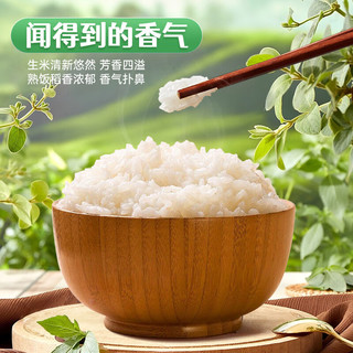 湖上粮仓 兴凯湖云露香米 5kg 东北大米
