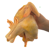 森牧农散养老母鸡农户柴鸡现杀农村笨鸡土鸡煲汤黄油母鸡走地鸡5年柴鸡 5斤左右