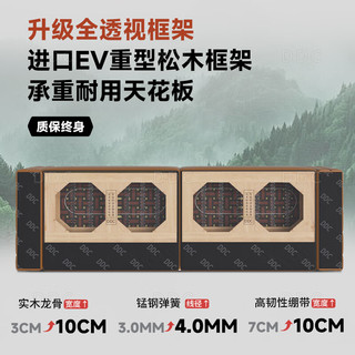  ddc S级耐磨生态皮 真皮沙发+迪熙太空云坐感座包