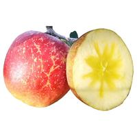 昭通苹果 丑苹果 2.5kg