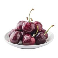 PLUS会员店 智利进口车厘子超级巨无霸JJJJ级 900g礼盒装 果径约32-34mm 新鲜时令水果年货礼盒