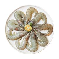 OCEAN FAMILY 大洋世家 厄瓜多尔白虾