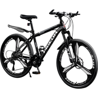 FLYING PIGEON/飞鸽 减震 山地车