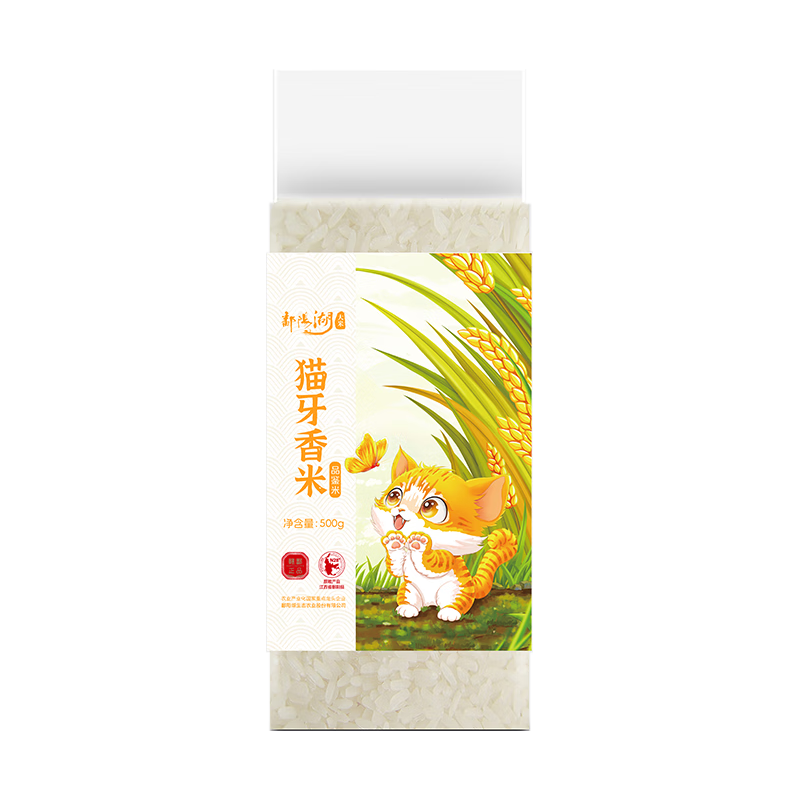  鄱阳湖 当季新米 丝苗米  10斤、1斤 袋装 500g