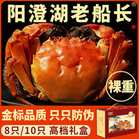 阳澄湖老船长大闸蟹螃蟹鲜活河蟹特大全母蟹礼盒店