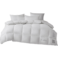 水星家纺鹅绒被匈牙利95%白鹅绒春秋被/冬被芯 保暖春秋冬羽绒被子 暄羽白鹅绒春秋被(漂白色) 220cm×240cm