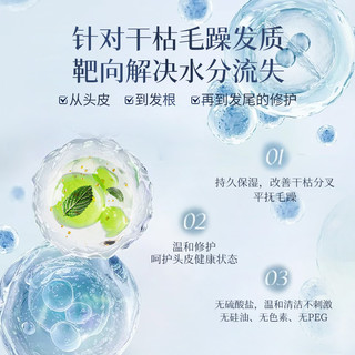  PHYTO/发朵 保湿护发 洗发水