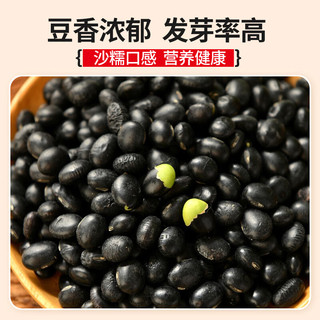 汾都香 黑豆5斤  绿芯青仁黑豆 可打豆浆 东北 五谷杂粮 粗粮 无染色