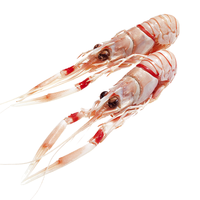 海泽鲜 深海鳌虾1000g 爱尔兰新鲜冷冻大虾 南极甜虾刺身深鳌虾 鳌虾8-12只