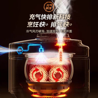 苏泊尔 SY-30FH3005Q 双球釜内胆 3L电压力锅
