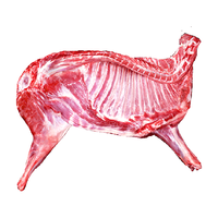  缤鲜 新鲜 内蒙古羊肉