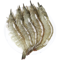 渔游记虾青岛大虾基围虾鲜活青虾白虾海虾对虾冰虾冻虾生鲜虾类海鲜 精选青岛大虾