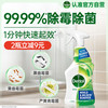 Dettol 滴露 除霉喷雾除霉除菌剂去霉斑 墙面洗衣机冰箱胶圈除霉清洁杀菌去垢 除霉喷雾500ml