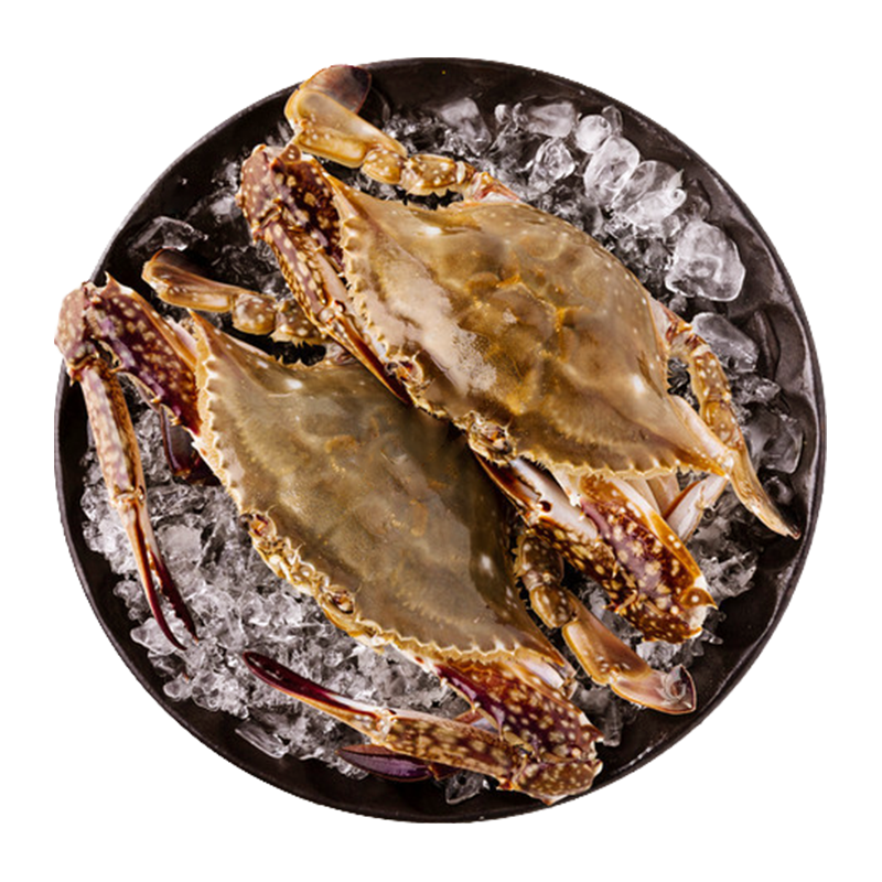 首鲜道 皇冠原箱熟冻北极甜虾 90-120规格 10斤