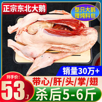 柒岛 大鹅肉大白老鹅新鲜农家散养土鹅整只鹅现杀 大鹅杀后5-6斤 鹅胗2斤