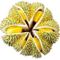 五一特惠！限购福利200箱 泰国猫山王榴莲 3-4斤装 保4房
