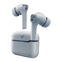 FLYDIGI 飞智 银狐T1 入耳式真无线动圈降噪蓝牙耳机