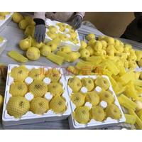 ZOCO 双重福利！ZOCO山东烟台奶油富士苹果   奶油富士5斤装 值友升级大果6-9个