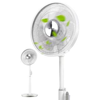 GREE 格力 FSZ-3008Bbg7-WG 落地扇