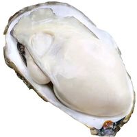 百亿补贴：蜀皇 乳山生蚝 4XL5斤