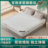 1 .5床垫加厚1.8*2独立袋装弹簧家用出租房乳胶椰棕薄款10cm 14cm布袋压缩簧+棕+乳胶|软硬 1800*2000