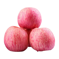 河南灵宝寺河山红富士苹果 灵宝直发 新鲜时令水果苹果 5斤 家庭装 70果(11-13颗)