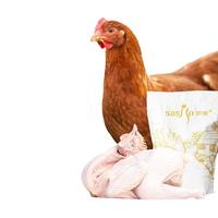 萨索高山童子鸡650g*2 两只装 新鲜冷冻林地散养土鸡整鸡鸡肉 1.3kg（2只）