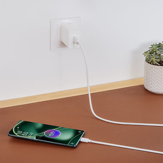  OPPO 100W超级闪充 氮化镓充电器