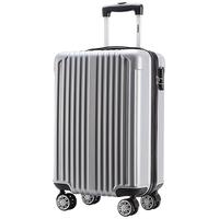 爱登堡 双杆万向轮拉杆箱旅行箱登机箱 DX965001-20F 银色 20英寸